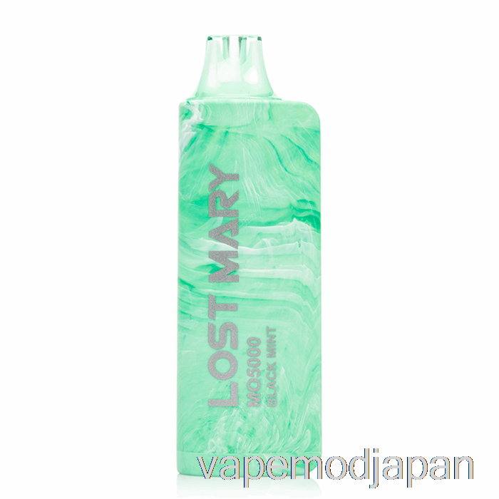 VAPE MOD ロストマリー MO5000 使い捨て ブラックミント